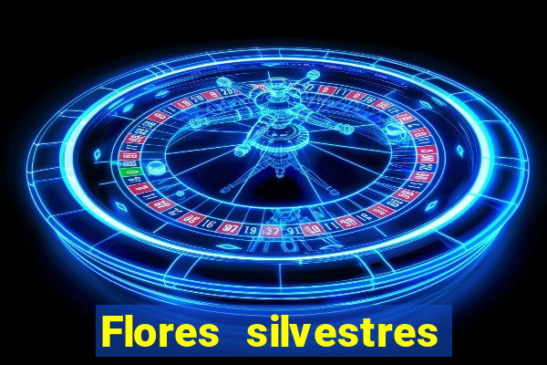 Flores silvestres brasileiras brasileiras flores silvestres nomes e imagens